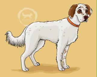 13082625_10153581720363587_5782254248404927579_n