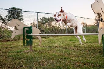 23826025_182565238961220_4425690247234067794_o 2