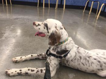 36528649_10155593099128587_7943758540433260544_n (1)