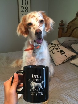 Photo Jul 27, 4 18 29 PM