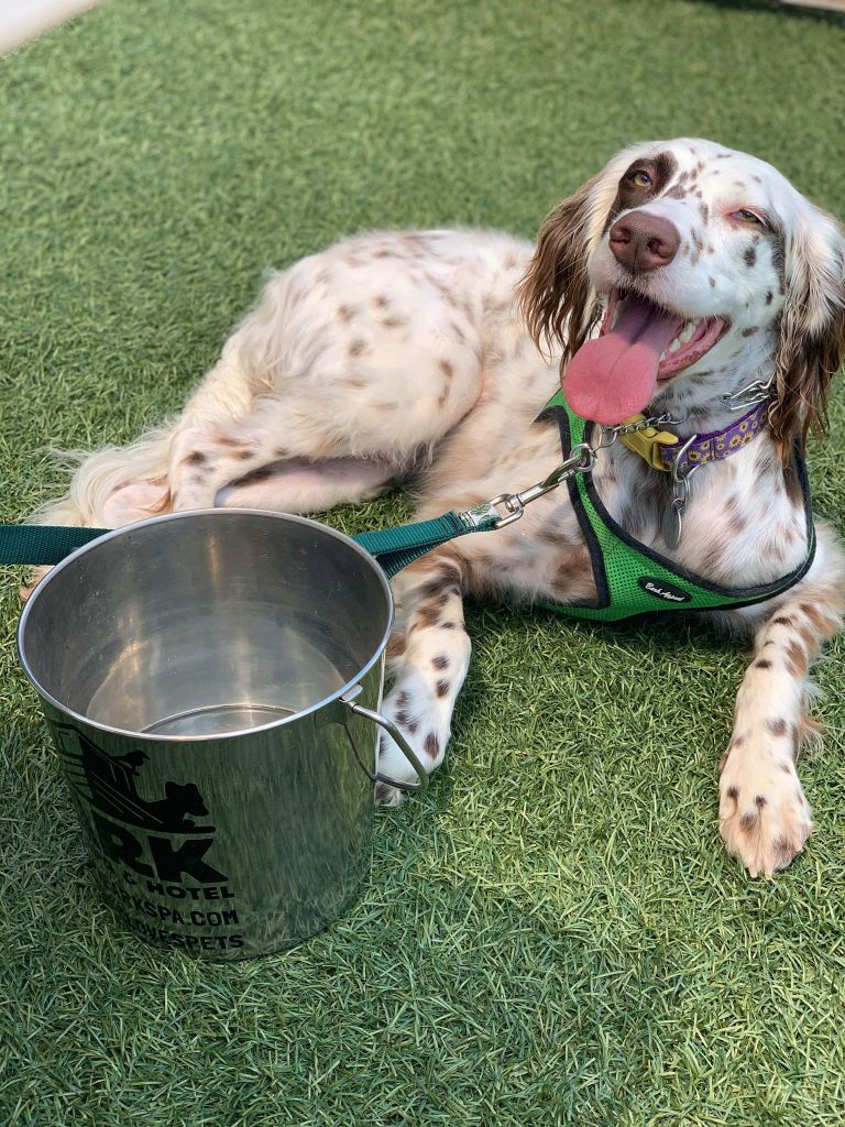 117655440_3513205152047204_120728747158953281_n