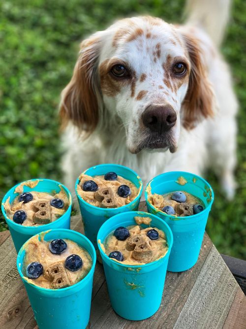 117656777_2637570339833243_1633554767377248953_n