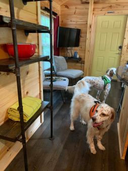 117827876_588835485123852_4449332643666085254_n