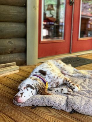 117832975_307648937330655_1413869318554487851_n